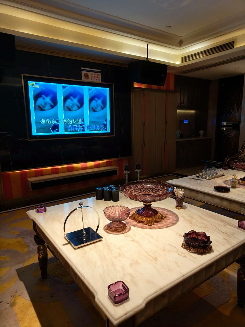 西安商务ktv独特玩法揭秘-周至县ktv预订